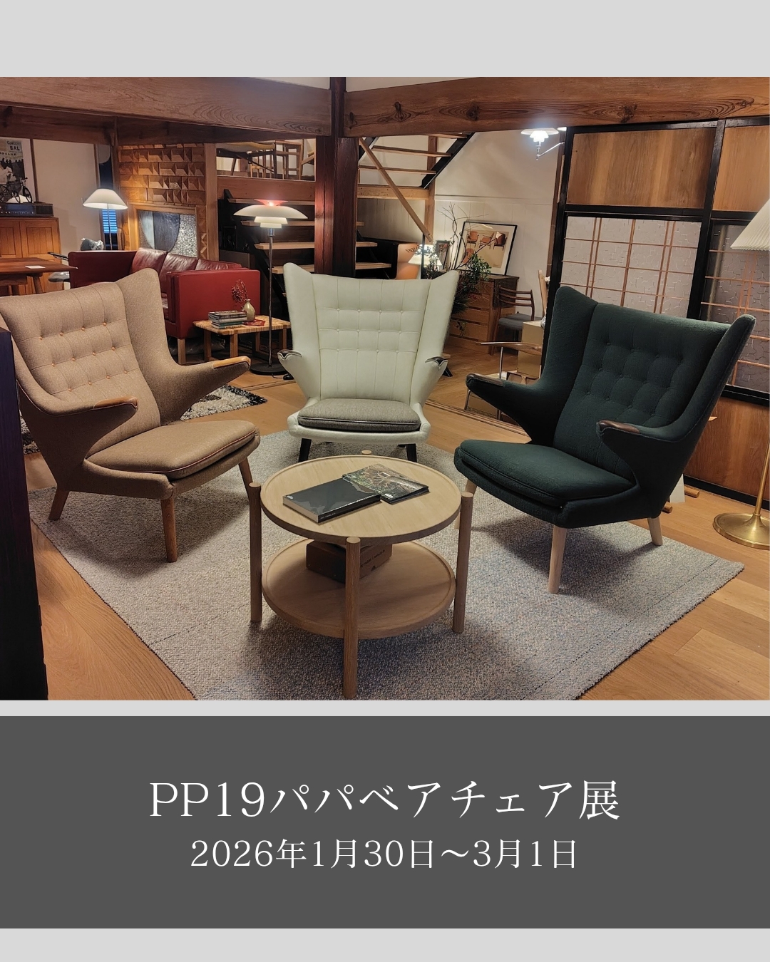 PP19パパベアチェア_20260129_202558_0000