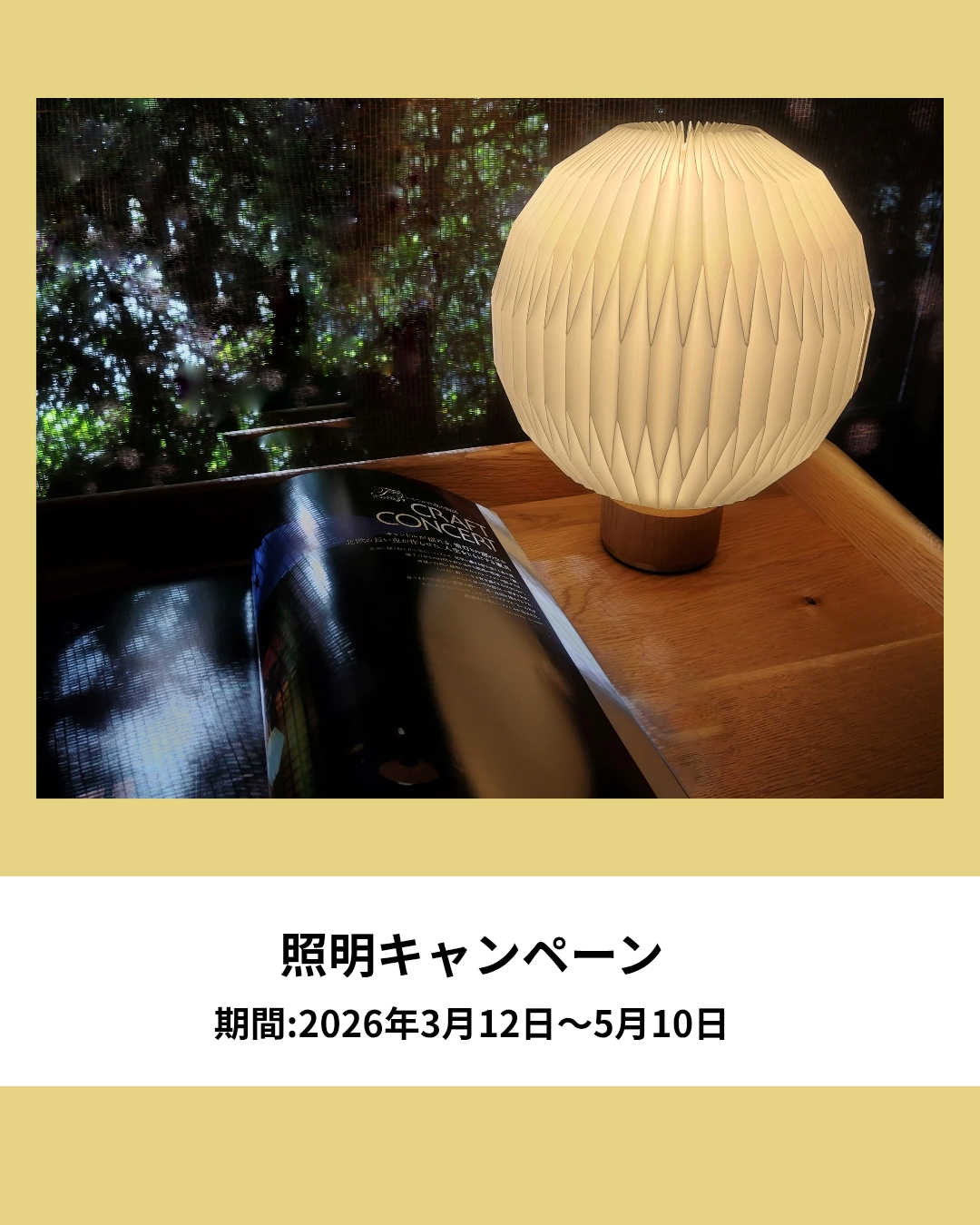 照明キャンペーン